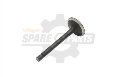 WP 35 Ventili usisni 168F.2.1-2