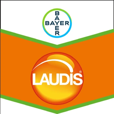 Laudis 1 l