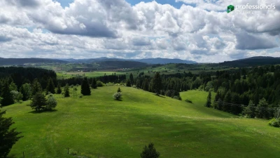Zemljište Nišići Ilijaš Sarajevo 12561m2