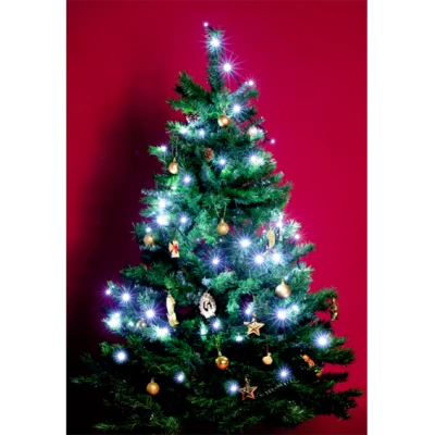 home Dekorativna LED rasvjeta - KI 50 LED/WH