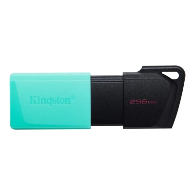 Kingston FD 256GBUSB3.2 DataTraveler Exodia M
