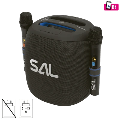 SAL Zvučnik bežični sa mikrofonom,Boombox,Bluetooth,100W,IPX5 - PARCUBE