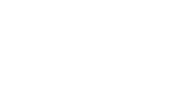 Slika 2
