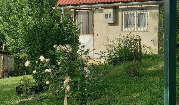 Slika 4