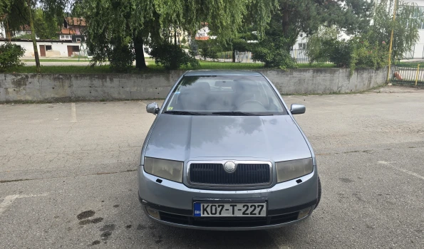 Slika 1