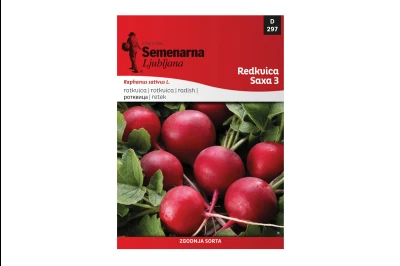 Semenarna ROTKVICA SAXA