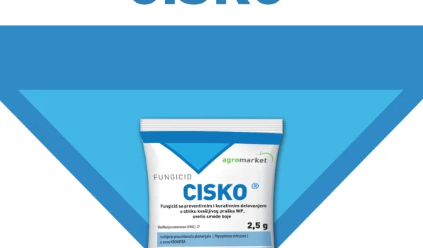 Slika 1