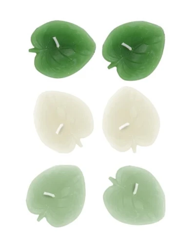 SVIJEĆE OBLIK LIST CC5060120