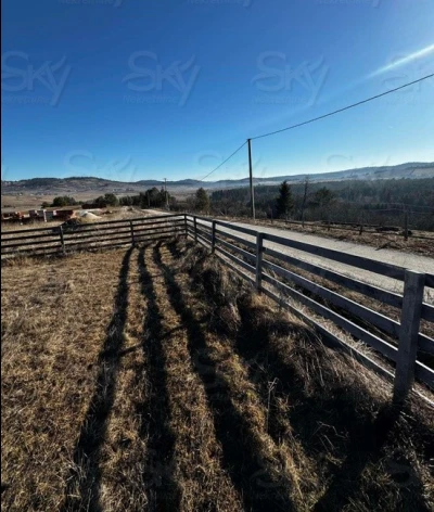 ZEMLJIŠTE NIŠIĆI/ 2000m2