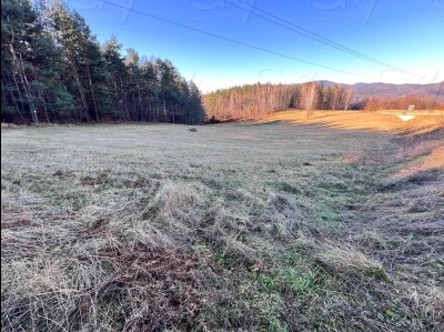 ZEMLJIŠTE TARČIN/ 6539m2