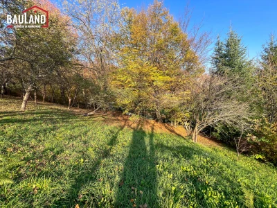 Prostrana parcela površine 2317m2/ Rakovica