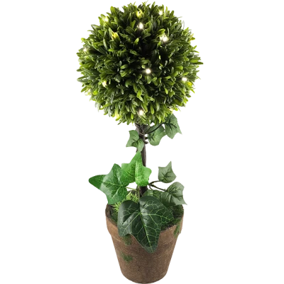 home Dekorativna rasvjeta, šimšir - GPL 25