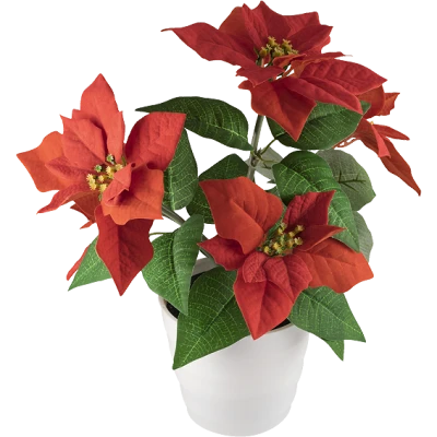 home Dekorativna rasvjeta, ruža - SCF 5