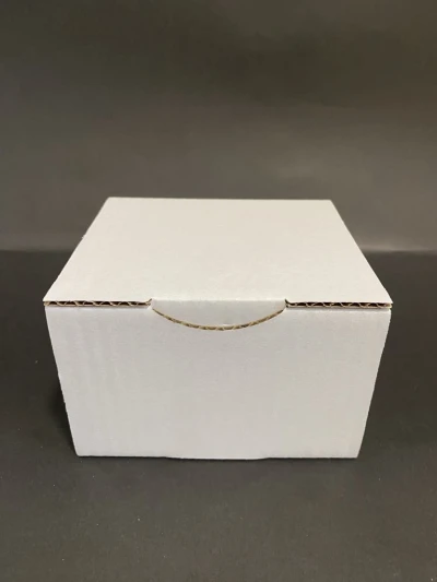 RP- post kutija bijela 10 kg 120x100x80 mm   1 kom