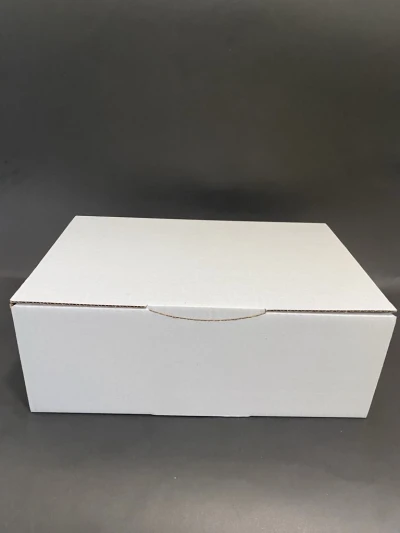 RP-Post kutija B 10 kg  350x220x130 mm  1kom