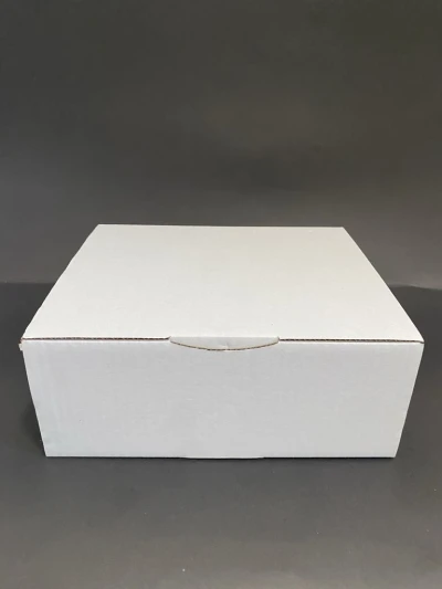 RP- post kutija B 10 kg 250x200x100 mm  1 kom