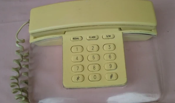 Slika 1