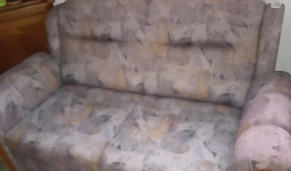 Slika 1