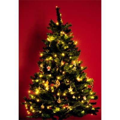 home Dekorativna LED rasvjeta - KI 100 LED/WW