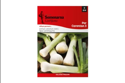 Semenarna PRAZILUK CARENTAN