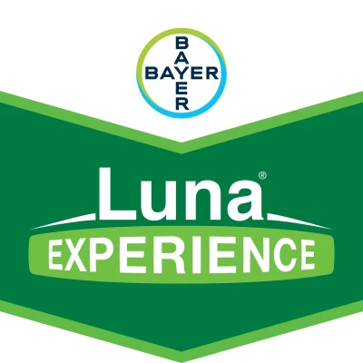 Luna experience 1 l