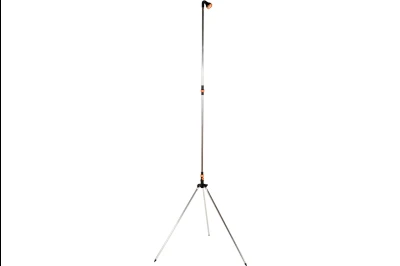 5461 Tus sa tronoscem 2006