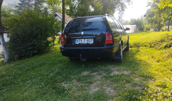 Slika 1