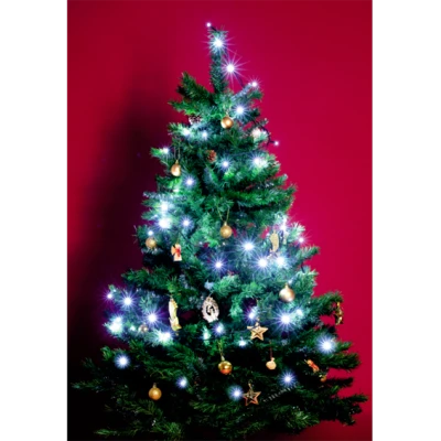 home Dekorativna LED rasvjeta - KI 50 LED/WH