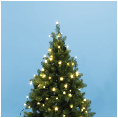 home Dekorativna rasvjeta, LED lampice - KII 200/WW