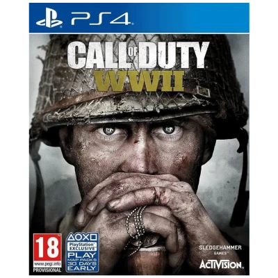 Activision Igra PlayStation 4: Call of Duty WWII - PS4 Call of Duty World War 2