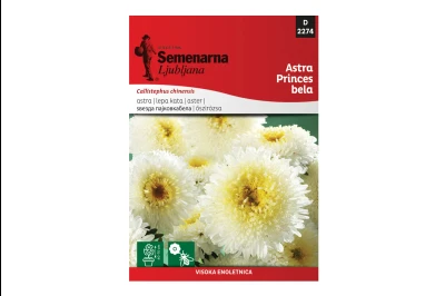 Semenarna LEPA KATA PRINCES BELA