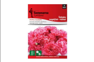 Semenarna ŠEBOJ KARANFIL ROZI