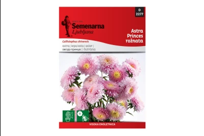 Semenarna LEPA KATA ROZA