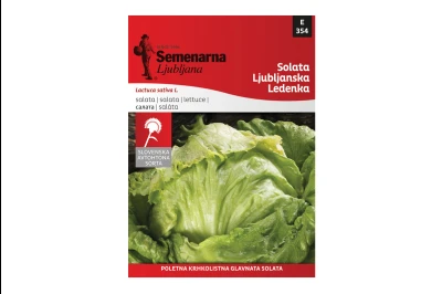 Semenarna SALATA LJUBLJANSKA LEDENKA