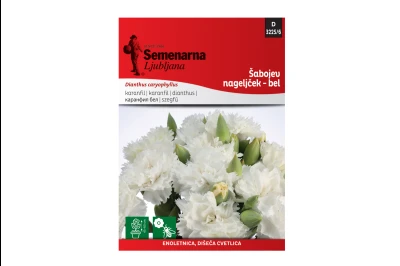 Semenarna ŠEBOJ KARANFIL BELI