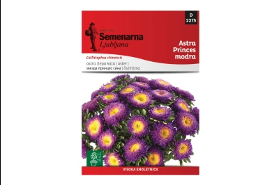 Semenarna LEPA KATA PRINCES PLAVA