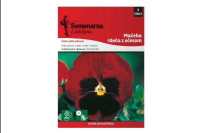 Semenarna DAN I NOĆ SA OČIMA - CRVENI