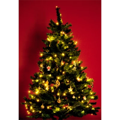 home Dekorativna LED rasvjeta - KI 100 LED/WW