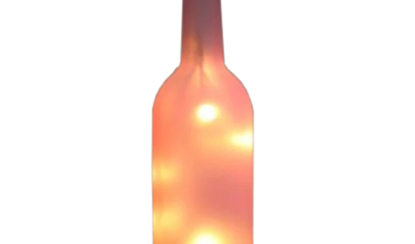 Slika 1