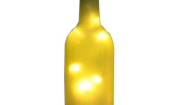 Slika 1