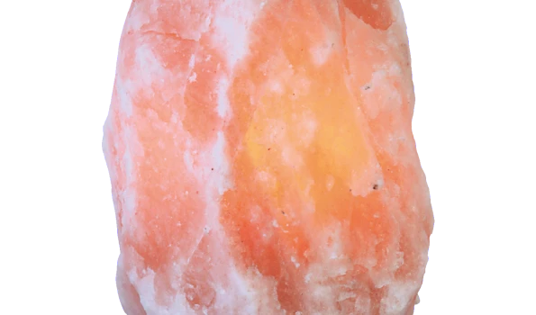 Slika 1