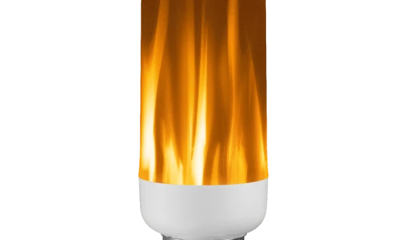 Slika 1