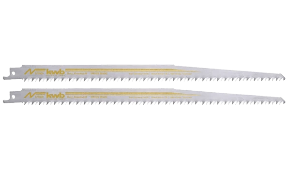 Slika 1