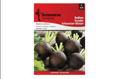 Semenarna ROTKVA ZIMSKA CRNA