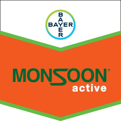 Monsoon active 1 l