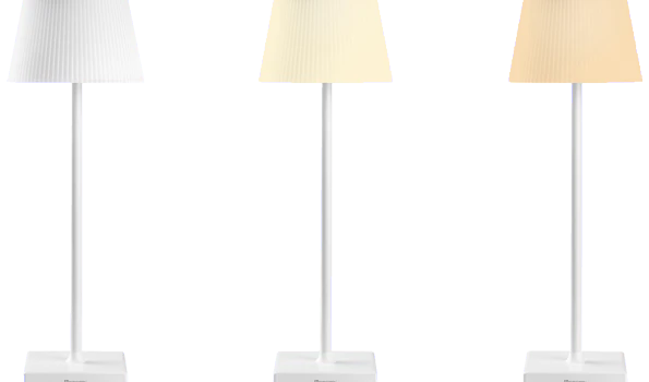 Slika 2