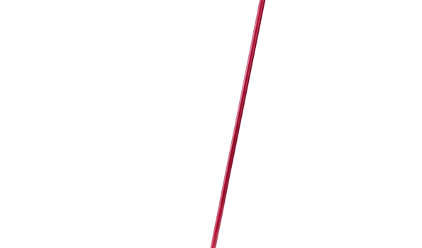Slika 1