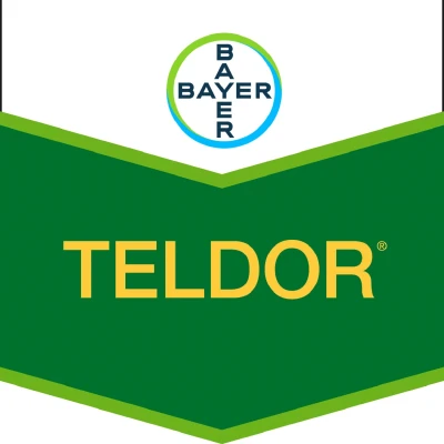 Teldor 500 SC 1 l