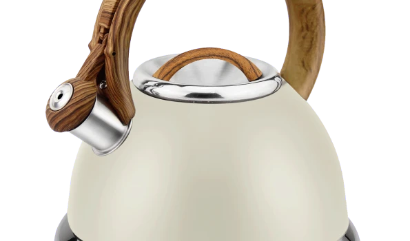 Slika 1