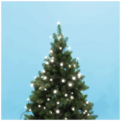 home Dekorativna rasvjeta, LED lampice - KII 200/WH